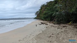 Cahuita Nationalpark Puerto Limón 24.02.20 Traumhafte Strände und Wale in Mittelamerika und Karibik AIDAluna 024