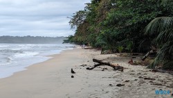 Cahuita Nationalpark Puerto Limón 24.02.20 Traumhafte Strände und Wale in Mittelamerika und Karibik AIDAluna 025