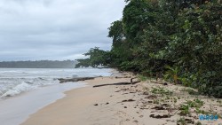 Cahuita Nationalpark Puerto Limón 24.02.20 Traumhafte Strände und Wale in Mittelamerika und Karibik AIDAluna 026