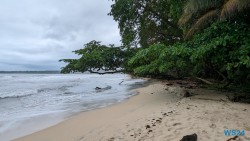 Cahuita Nationalpark Puerto Limón 24.02.20 Traumhafte Strände und Wale in Mittelamerika und Karibik AIDAluna 027