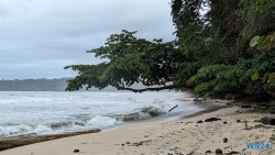 Cahuita Nationalpark Puerto Limón 24.02.20 Traumhafte Strände und Wale in Mittelamerika und Karibik AIDAluna 028