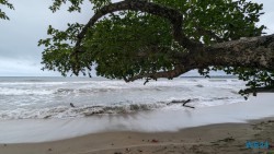 Cahuita Nationalpark Puerto Limón 24.02.20 Traumhafte Strände und Wale in Mittelamerika und Karibik AIDAluna 029