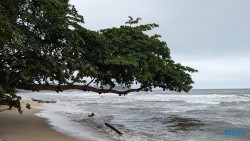 Cahuita Nationalpark Puerto Limón 24.02.20 Traumhafte Strände und Wale in Mittelamerika und Karibik AIDAluna 030