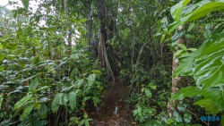 Cahuita Nationalpark Puerto Limón 24.02.20 Traumhafte Strände und Wale in Mittelamerika und Karibik AIDAluna 033