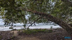 Cahuita Nationalpark Puerto Limón 24.02.20 Traumhafte Strände und Wale in Mittelamerika und Karibik AIDAluna 036