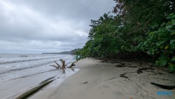 Cahuita Nationalpark Puerto Limón 24.02.20 Traumhafte Strände und Wale in Mittelamerika und Karibik AIDAluna 038
