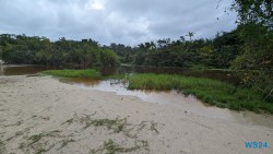 Cahuita Nationalpark Puerto Limón 24.02.20 Traumhafte Strände und Wale in Mittelamerika und Karibik AIDAluna 040