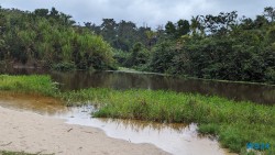 Cahuita Nationalpark Puerto Limón 24.02.20 Traumhafte Strände und Wale in Mittelamerika und Karibik AIDAluna 041