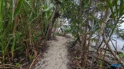 Cahuita Nationalpark Puerto Limón 24.02.20 Traumhafte Strände und Wale in Mittelamerika und Karibik AIDAluna 042