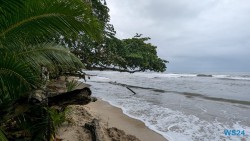 Cahuita Nationalpark Puerto Limón 24.02.20 Traumhafte Strände und Wale in Mittelamerika und Karibik AIDAluna 044