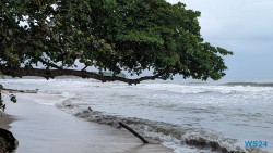 Cahuita Nationalpark Puerto Limón 24.02.20 Traumhafte Strände und Wale in Mittelamerika und Karibik AIDAluna 045