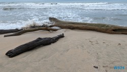 Cahuita Nationalpark Puerto Limón 24.02.20 Traumhafte Strände und Wale in Mittelamerika und Karibik AIDAluna 046