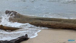 Cahuita Nationalpark Puerto Limón 24.02.20 Traumhafte Strände und Wale in Mittelamerika und Karibik AIDAluna 047