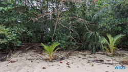 Cahuita Nationalpark Puerto Limón 24.02.20 Traumhafte Strände und Wale in Mittelamerika und Karibik AIDAluna 048