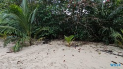 Cahuita Nationalpark Puerto Limón 24.02.20 Traumhafte Strände und Wale in Mittelamerika und Karibik AIDAluna 049