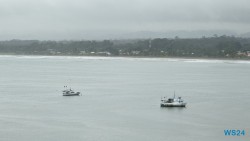 Puerto Limón 24.02.20 Traumhafte Strände und Wale in Mittelamerika und Karibik AIDAluna 006