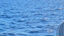 Fliegende Fische Roseau 24.12.01 Zu Fuß mit Taxi Fähre Boot Bus zu karibischen Stränden AIDAperla 005