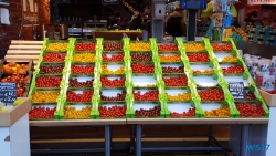 Markthal Rotterdam 17.01.05 - Jahreswechsel auf der AIDAprima Metropolen