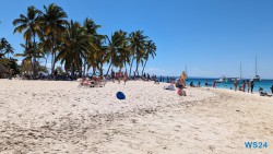 Cayo Levantado Samaná 24.02.25 Traumhafte Strände und Wale in Mittelamerika und Karibik AIDAluna 050
