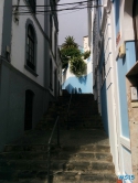 Santa Cruz de La Palma 15.10.24 - Zwei Runden um die Kanarischen Inseln AIDAsol Kanaren