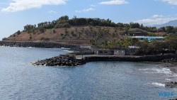 Palmetum Santa Cruz De Tenerife 25.02.05 Nach 10 Jahren wieder Kanaren um dem Winter zu entfliehen AIDAcosma 023