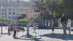 Lo Llevo Bien Santa Cruz De Tenerife 25.02.12 Nach 10 Jahren wieder Kanaren um dem Winter zu entfliehen AIDAcosma 008