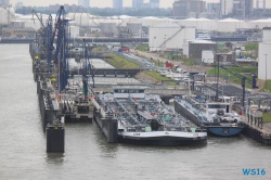 Nieuwe Maas Nieuwe Waterweg Rotterdam-Nordsee 16.07.08 - Das neue Schiff entdecken auf der Metropolenroute AIDAprima