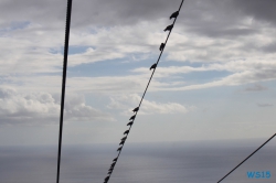 Seilbahn nach Monte Funchal Madeira 15.10.27 - Zwei Runden um die Kanarischen Inseln AIDAsol Kanaren