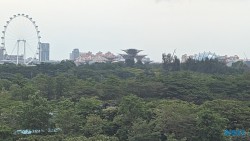 Gardens by the Bay Singapur 25.05.05 Begeistert zum ersten Mal in Südostasien AIDAstella 010