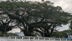 Singapur 25.05.05 Begeistert zum ersten Mal in Südostasien AIDAstella 050