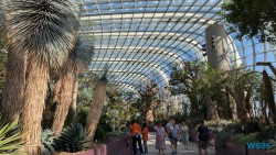 Gardens by the Bay Singapur 25.05.06 Begeistert zum ersten Mal in Südostasien AIDAstella 006