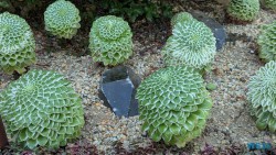 Gardens by the Bay Singapur 25.05.06 Begeistert zum ersten Mal in Südostasien AIDAstella 008