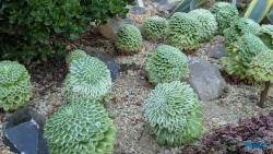 Gardens by the Bay Singapur 25.05.06 Begeistert zum ersten Mal in Südostasien AIDAstella 009