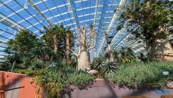 Gardens by the Bay Singapur 25.05.06 Begeistert zum ersten Mal in Südostasien AIDAstella 011