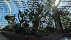 Gardens by the Bay Singapur 25.05.06 Begeistert zum ersten Mal in Südostasien AIDAstella 012