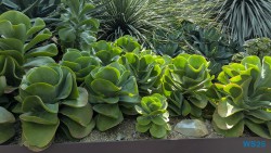 Gardens by the Bay Singapur 25.05.06 Begeistert zum ersten Mal in Südostasien AIDAstella 013