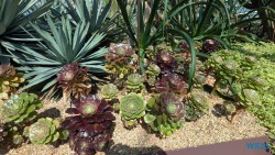 Gardens by the Bay Singapur 25.05.06 Begeistert zum ersten Mal in Südostasien AIDAstella 021