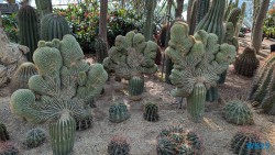 Gardens by the Bay Singapur 25.05.06 Begeistert zum ersten Mal in Südostasien AIDAstella 023