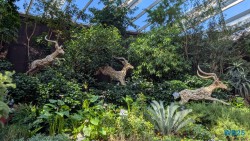 Gardens by the Bay Singapur 25.05.06 Begeistert zum ersten Mal in Südostasien AIDAstella 027