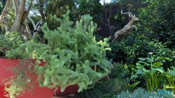 Gardens by the Bay Singapur 25.05.06 Begeistert zum ersten Mal in Südostasien AIDAstella 028