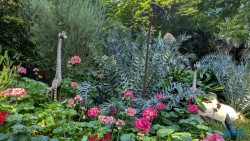 Gardens by the Bay Singapur 25.05.06 Begeistert zum ersten Mal in Südostasien AIDAstella 031