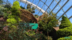 Gardens by the Bay Singapur 25.05.06 Begeistert zum ersten Mal in Südostasien AIDAstella 033