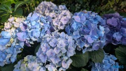 Gardens by the Bay Singapur 25.05.06 Begeistert zum ersten Mal in Südostasien AIDAstella 035