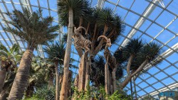 Gardens by the Bay Singapur 25.05.06 Begeistert zum ersten Mal in Südostasien AIDAstella 039