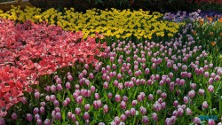 Gardens by the Bay Singapur 25.05.06 Begeistert zum ersten Mal in Südostasien AIDAstella 045