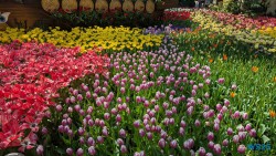 Gardens by the Bay Singapur 25.05.06 Begeistert zum ersten Mal in Südostasien AIDAstella 046