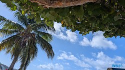 Grand Anse Beach St. George's 25.12.10 Baden und Schnorcheln im kristallklaren Meer AIDAperla 014