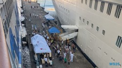 St. George's 25.12.10 Baden und Schnorcheln im kristallklaren Meer AIDAperla 021