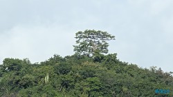 St. George's 25.12.10 Baden und Schnorcheln im kristallklaren Meer AIDAperla 026