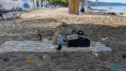 Grand Anse Beach St. George's 24.11.27 Zu Fuß mit Taxi Fähre Boot Bus zu karibischen Stränden AIDAperla 002